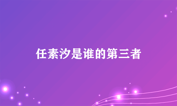 任素汐是谁的第三者