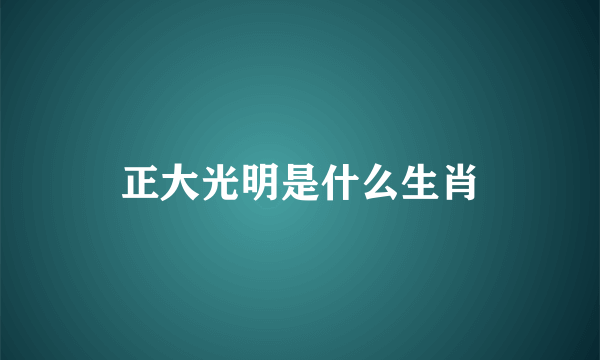 正大光明是什么生肖