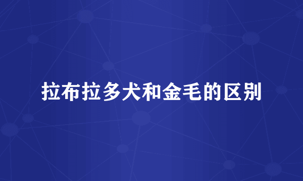 拉布拉多犬和金毛的区别