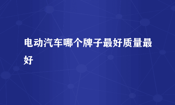 电动汽车哪个牌子最好质量最好