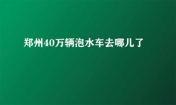 郑州40万辆泡水车去哪儿了