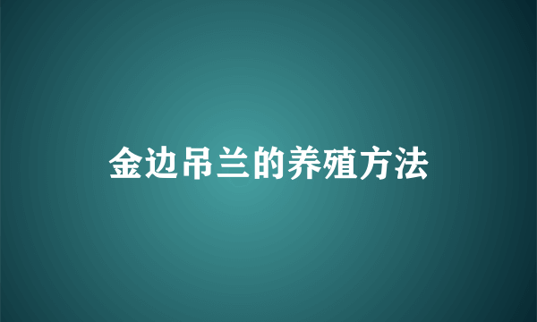 金边吊兰的养殖方法