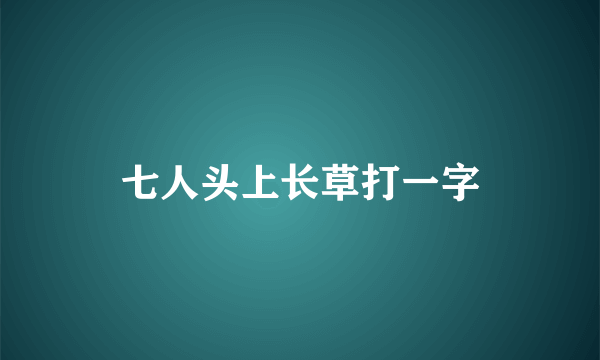 七人头上长草打一字