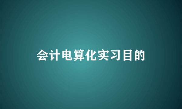 会计电算化实习目的