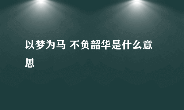 以梦为马 不负韶华是什么意思