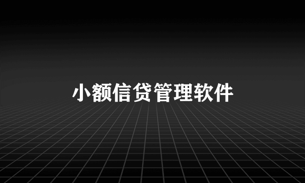 小额信贷管理软件