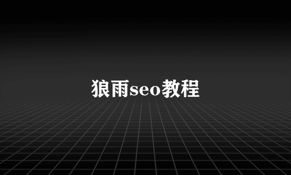 狼雨seo教程