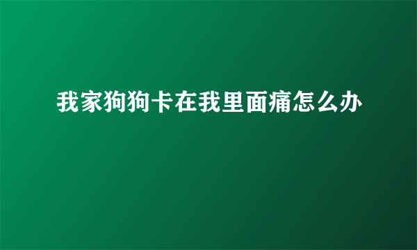 我家狗狗卡在我里面痛怎么办