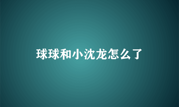 球球和小沈龙怎么了