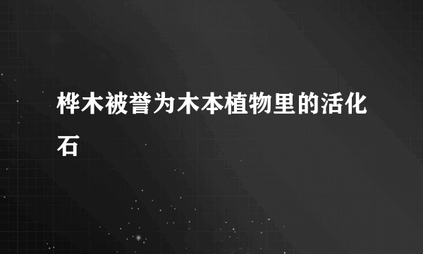 桦木被誉为木本植物里的活化石