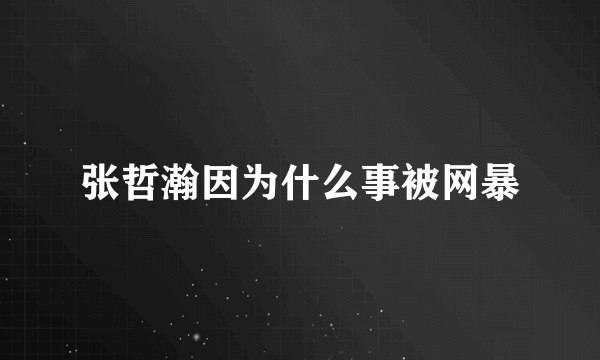 张哲瀚因为什么事被网暴