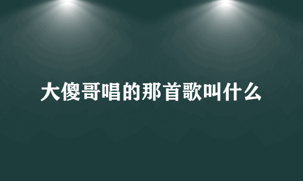 大傻哥唱的那首歌叫什么