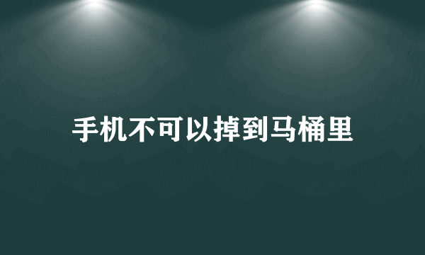 手机不可以掉到马桶里