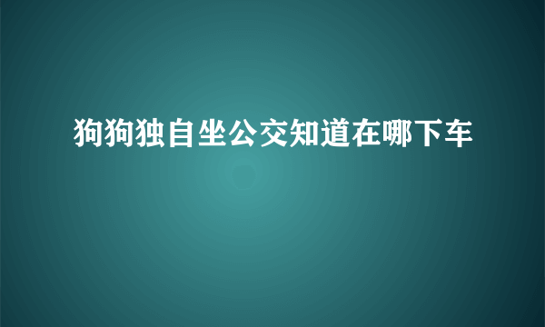 狗狗独自坐公交知道在哪下车