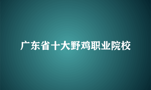 广东省十大野鸡职业院校