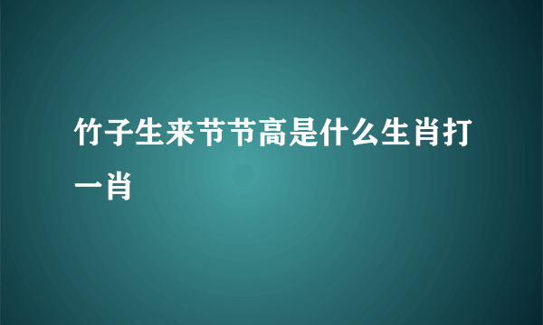 竹子生来节节高是什么生肖打一肖