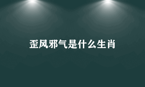 歪风邪气是什么生肖