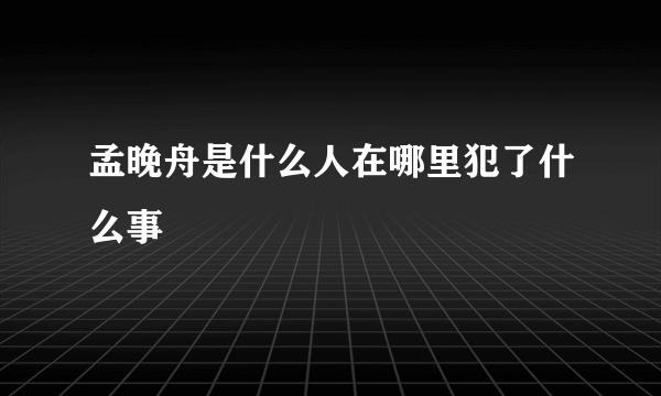 孟晚舟是什么人在哪里犯了什么事