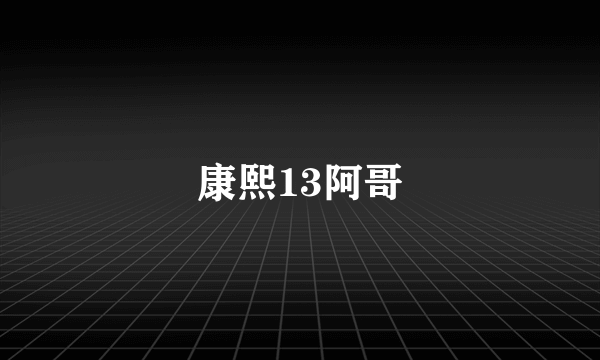 康熙13阿哥