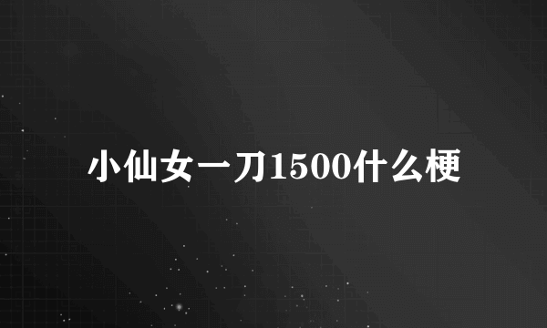 小仙女一刀1500什么梗