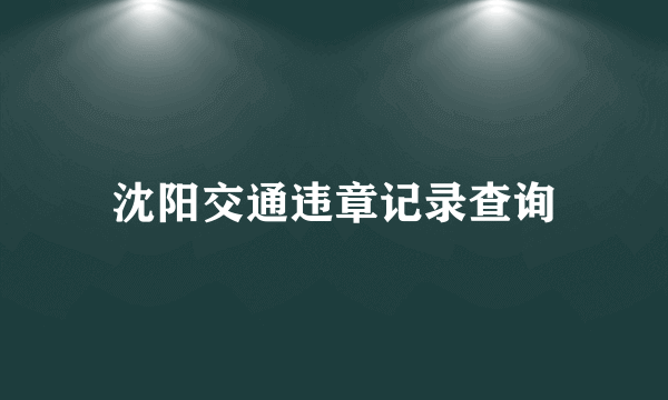 沈阳交通违章记录查询