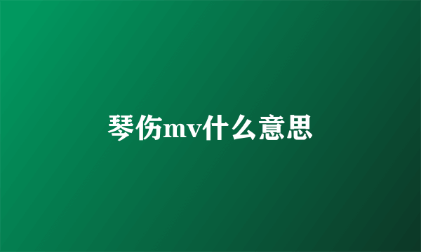 琴伤mv什么意思