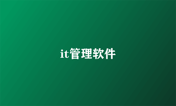 it管理软件