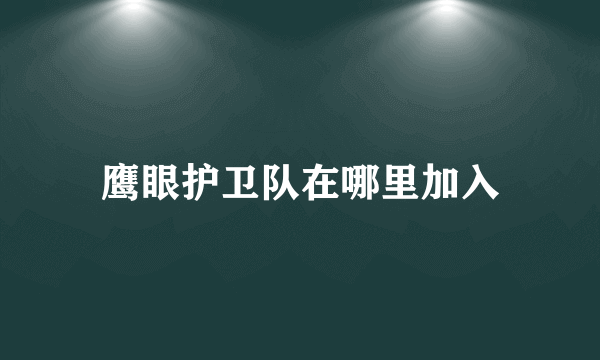 鹰眼护卫队在哪里加入