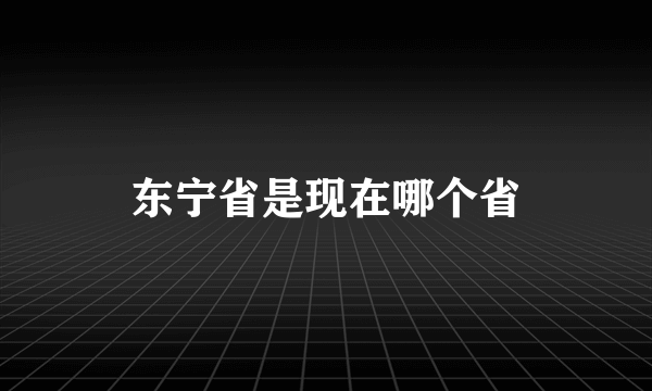 东宁省是现在哪个省