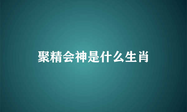 聚精会神是什么生肖