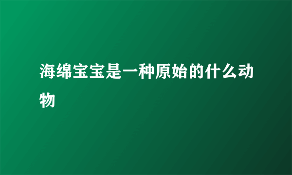 海绵宝宝是一种原始的什么动物