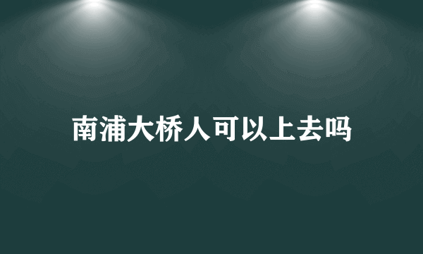 南浦大桥人可以上去吗