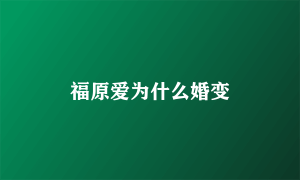 福原爱为什么婚变