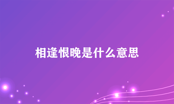 相逢恨晚是什么意思