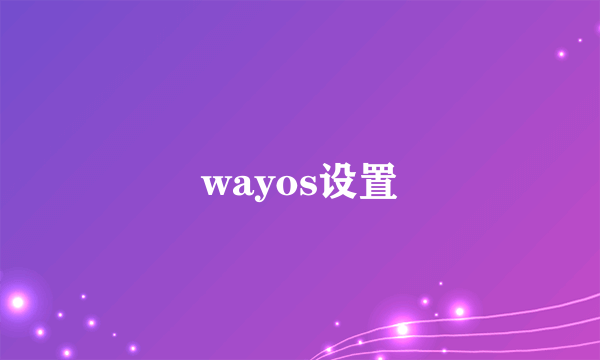 wayos设置