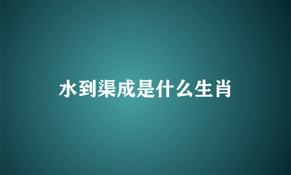 水到渠成是什么生肖