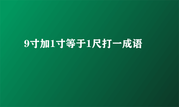 9寸加1寸等于1尺打一成语