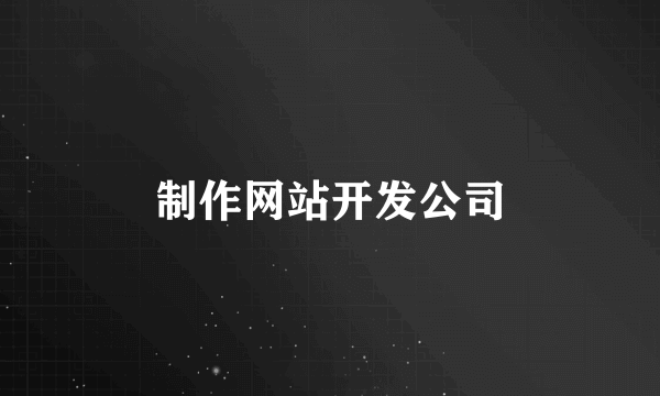 制作网站开发公司