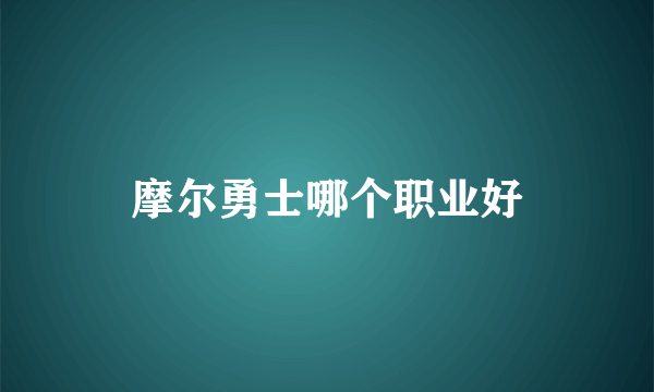 摩尔勇士哪个职业好