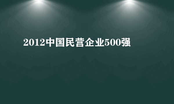 2012中国民营企业500强