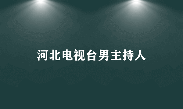 河北电视台男主持人