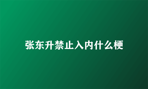 张东升禁止入内什么梗