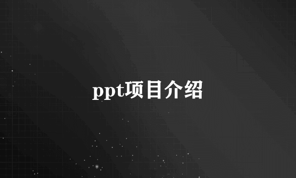 ppt项目介绍