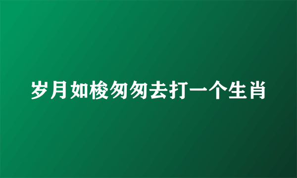 岁月如梭匆匆去打一个生肖