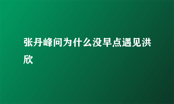 张丹峰问为什么没早点遇见洪欣