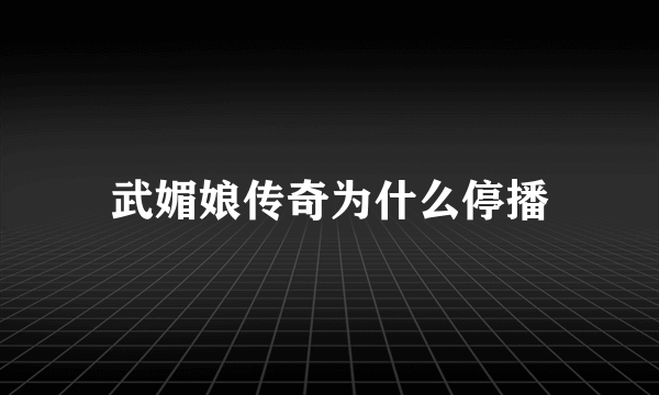 武媚娘传奇为什么停播