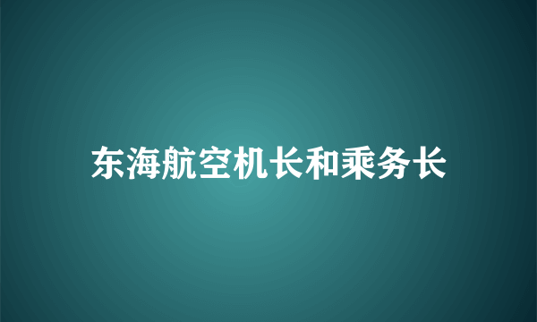 东海航空机长和乘务长