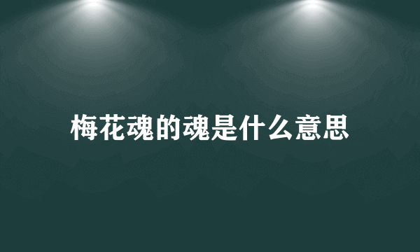 梅花魂的魂是什么意思