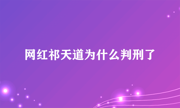 网红祁天道为什么判刑了