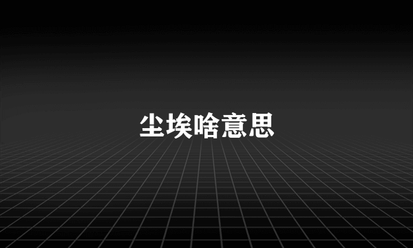 尘埃啥意思